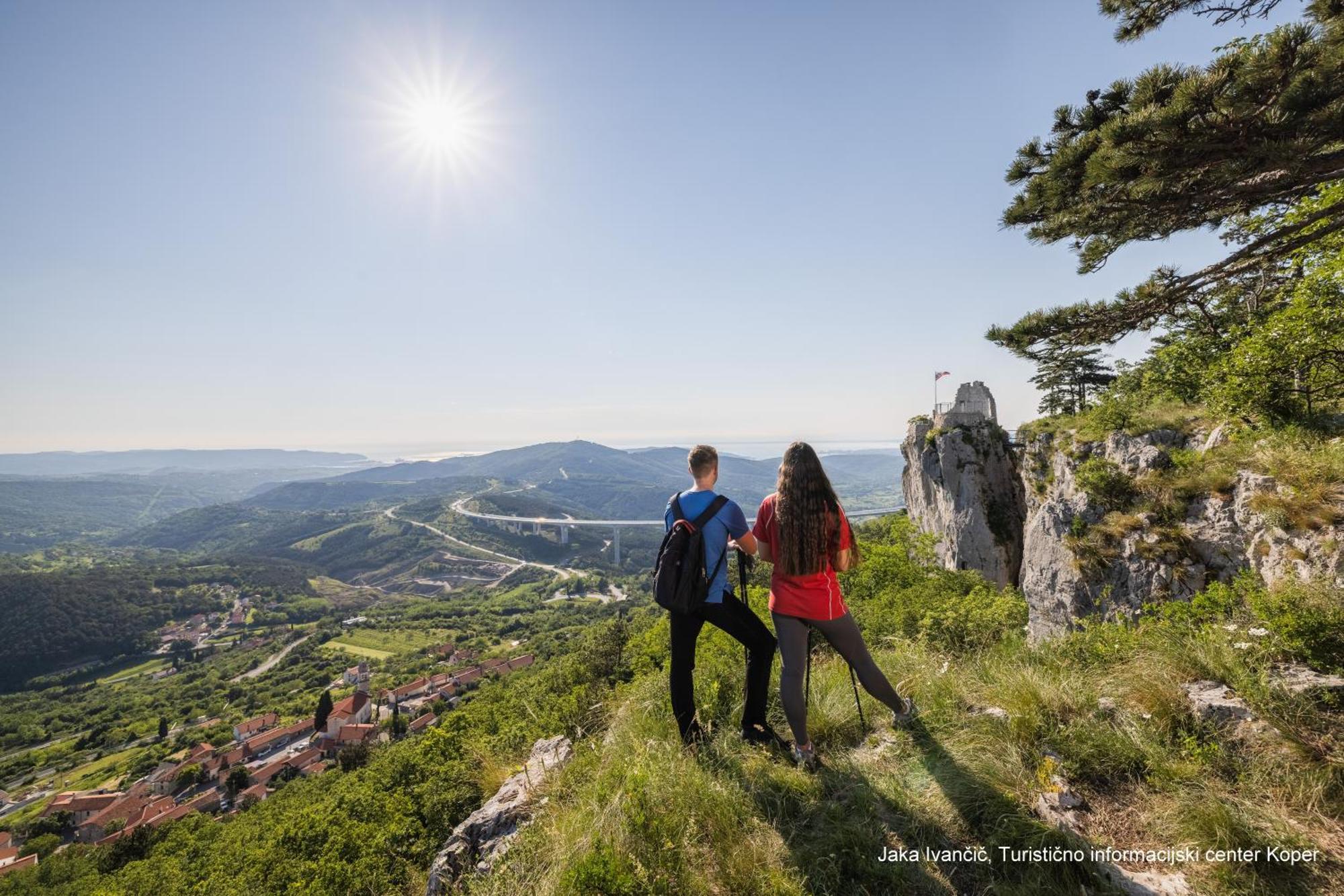 Apartments Souranded By Forest With Sea View Копер Екстер'єр фото