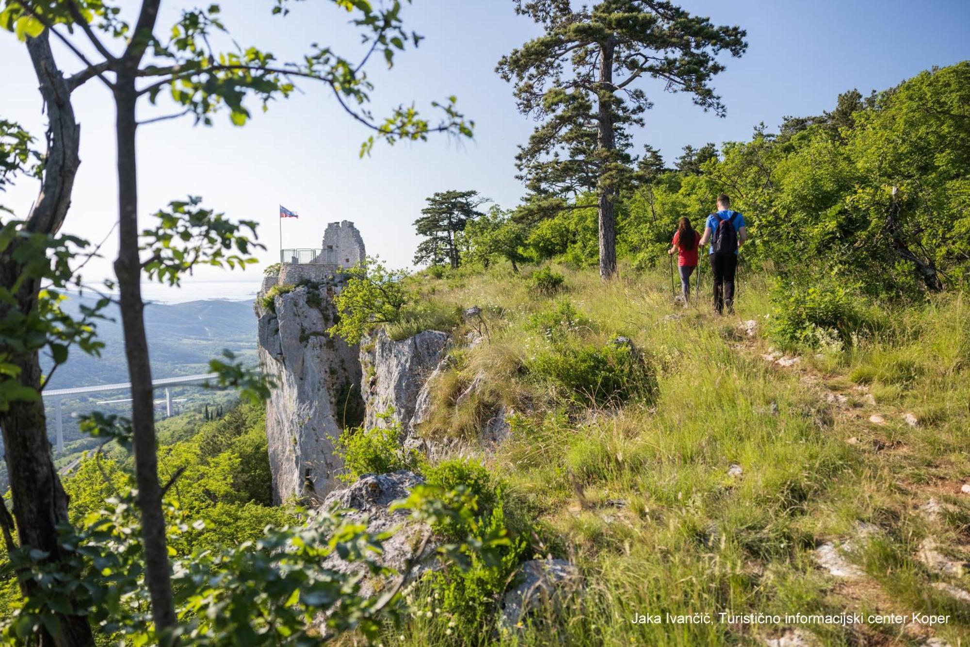 Apartments Souranded By Forest With Sea View Копер Екстер'єр фото