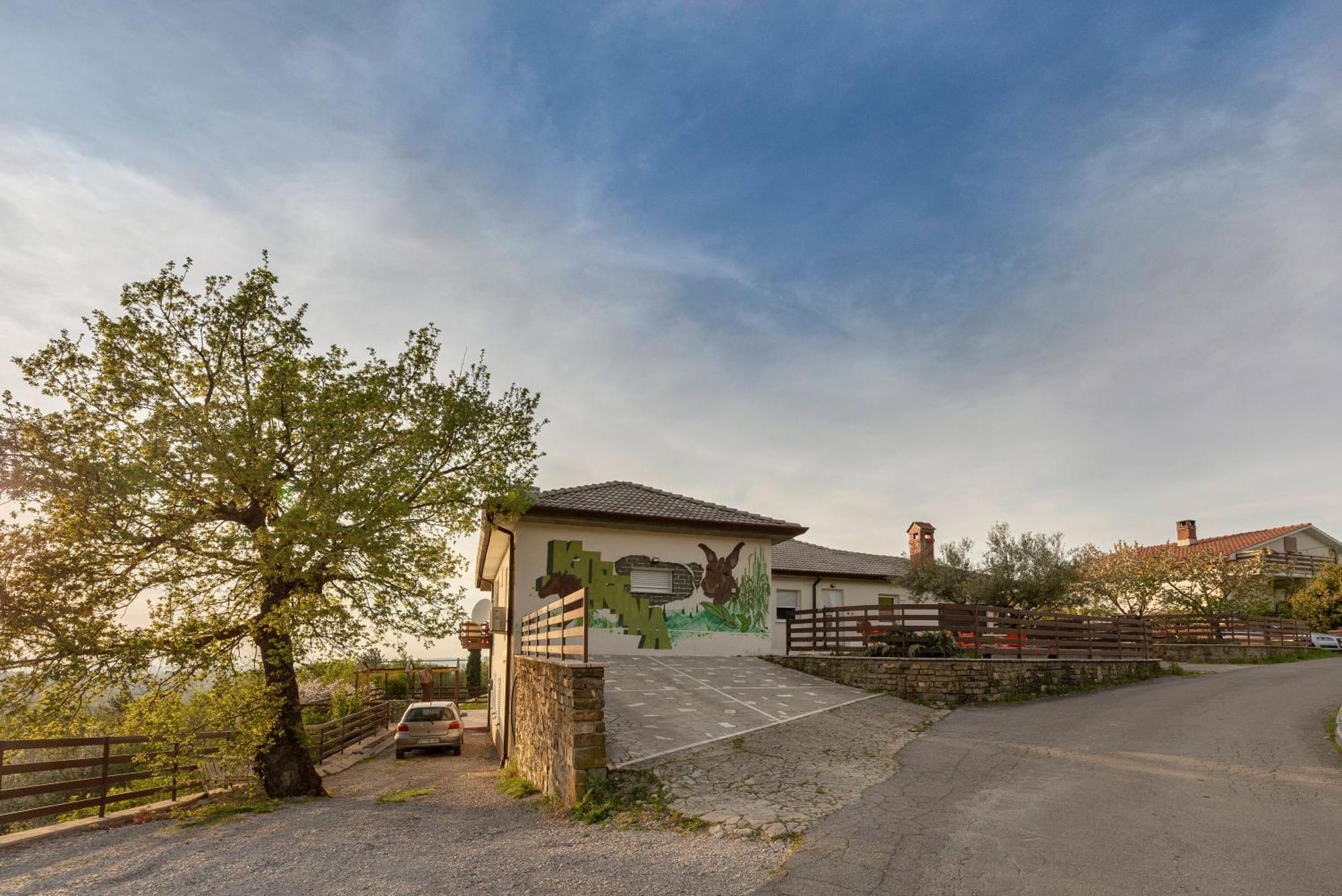 Apartments Souranded By Forest With Sea View Копер Екстер'єр фото