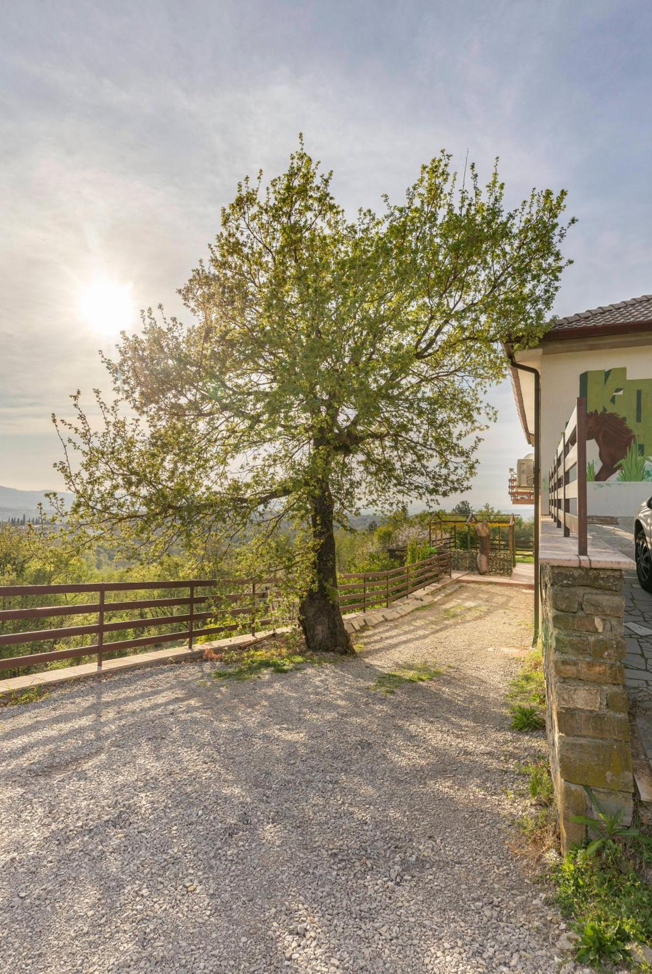 Apartments Souranded By Forest With Sea View Копер Екстер'єр фото
